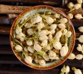 鮮茉莉花怎么炮制成茶？
