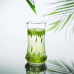正宗的竹葉青產自哪里？