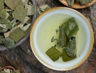 荷葉茶為什么叫短命茶？