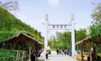 5月12日：徒步貢茶古道，天然氧吧，綠色之旅